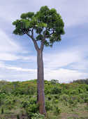 tkm003_199875