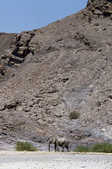 tkm003_200069