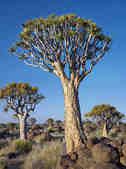 tkm003_200209
