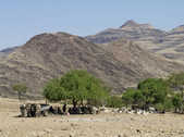 tkm003_200282