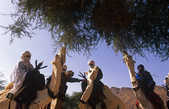 tkm003_200707