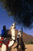tkm003_200708