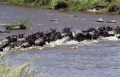 tkm003_200969