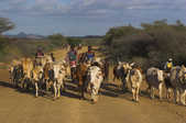 tkm003_201380