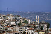 tkm003_204036