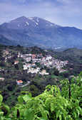 tkm003_204807