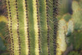 tkm003_205548