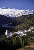 tkm003_205794