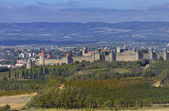 tkm003_205848