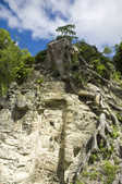 tkm003_208926