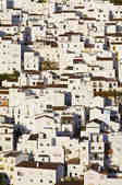 tkm003_210324