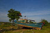 tkm003_539364