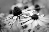 tkm003_540708