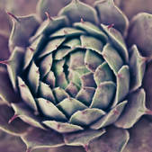 tkm003_543764