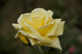 tkm003_545954