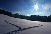 tkm003_546417