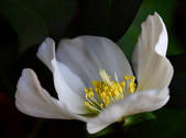 tkm003_547511