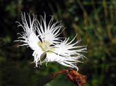 tkm003_549405