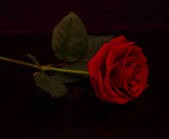 tkm003_550131
