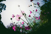 tkm003_550963