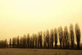 tkm003_552378