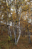 tkf002_100353