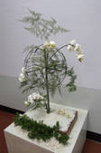 tkf002_112541