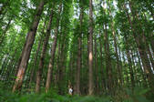tkf002_101470