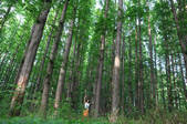 tkf002_101471