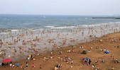 tkf002_101772