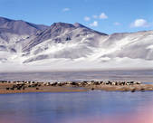 tkm002_100861