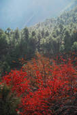 tkf002_102663