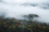 tkf002_102672