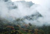 tkf002_102674