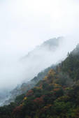 tkf002_102675