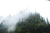 tkf002_102677