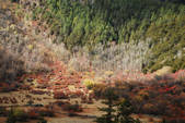 tkf002_102682