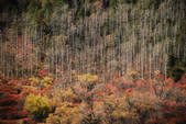 tkf002_102683
