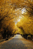 tkf002_102708