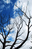 tkf002_102712
