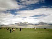 tkm002_105703