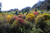 tkf002_103406