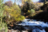 tkf002_103590