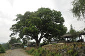 tkf002_103783