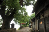tkf002_103785