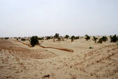 tkm002_107054
