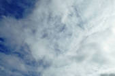 tkf002_118624