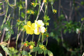 tkf002_133211