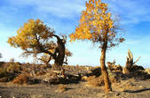 tkm002_108955