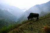 tkm002_109424